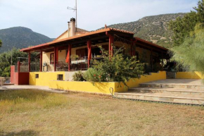 Hotels in Koila